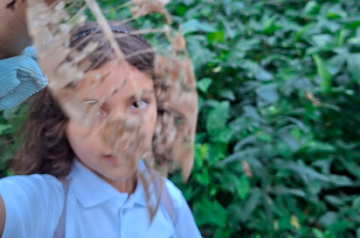 educacao-ambiental-na-escola-alema-corcovado-thumb
